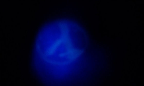 Логотип Lambda нарисована на ультрафиолетовом лампе #neon #неон #lambda #лямбда #георгийшериф