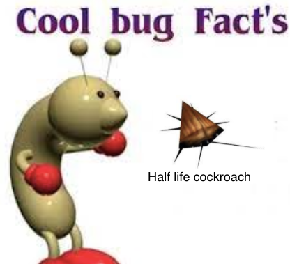 half life cockroach