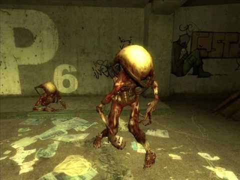 To be honest, fast zombies are the only enemies in HL2 that still manages to scare me to this day. When I first played HL2 I got used to the fact that zombies are slow and pretty easy to kill, so I wasn't too afraid of them. But when I saw this... thing... screaming and running after me, I started to panic. I mean, just imagine something like this running after you in the middle of the night or in a dark tunnel or something like that.

Anyway, this was just a thought I wanted to share with you.

Have a good day.