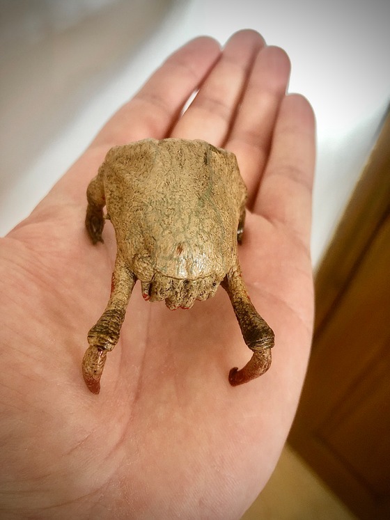 Headcrabs are real.