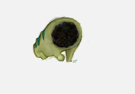 i bring you… cute little houndeye!
part two of trying out a new art style on some little half life guys