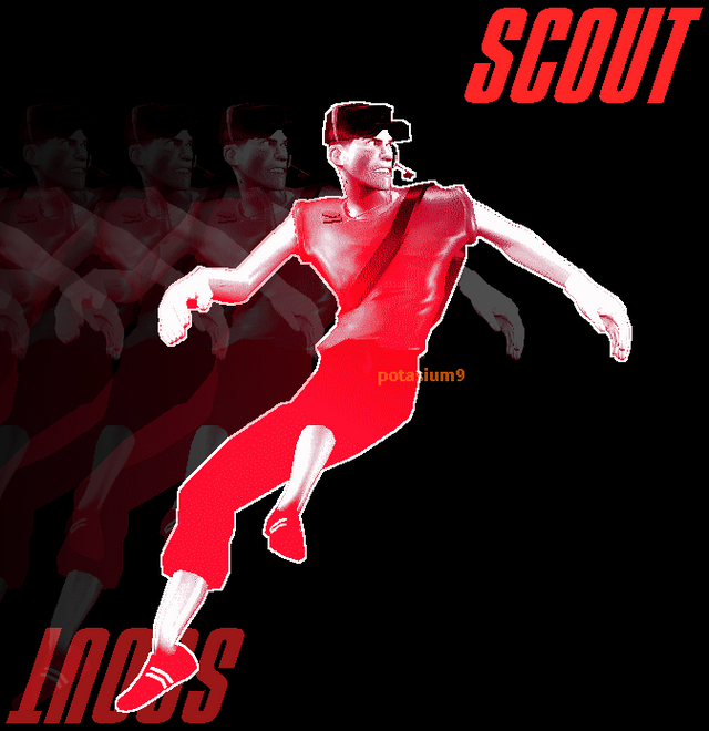scout 