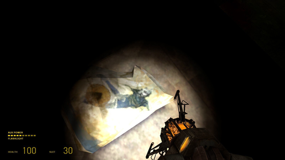 Has anyone ever noticed that this person on this bag in Half-Life 2 is wearing a metrocop mask?