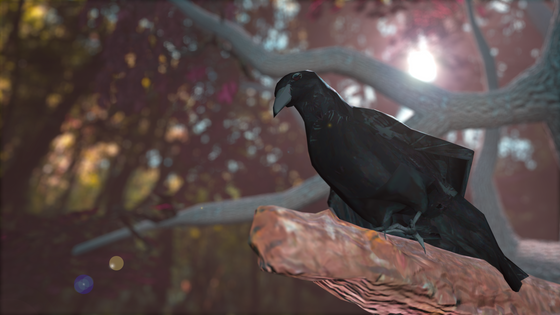 A crow on a branch. (Lens flare added + colour grading added in Photoshop.)