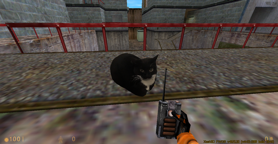 maxwell the cat :-)

Skin by SVBOY: https://www.moddb.com/games/half-life/addons/maxwell-the-cat-over-satchel1