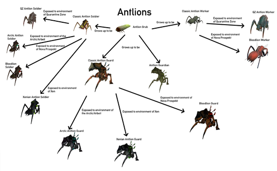 Antlion evolution tree I made back in September 2022.