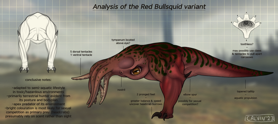 Red Bullsquid variant analysis

personally i really like the HL2 beta designs for the bullsquid and i don't see a lot of talk about them, so as a fun little exercise for myself, i'll be making another analysis page for the green variant soon :)