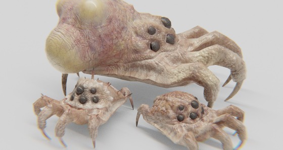 These things are the new headcrabs.
(found it here https://www.turbosquid.com/3d-models/3d-creature-facehugger-headcrab-baneling-1660727)