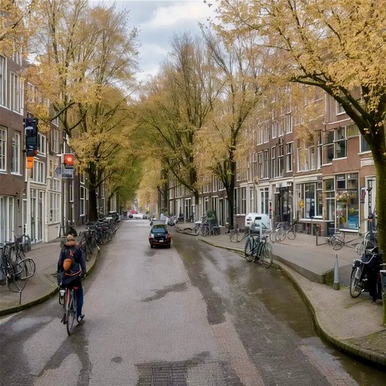 A lovely Dutch street 