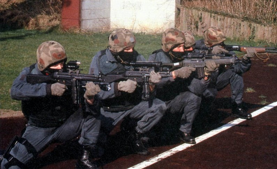 did you know that the gsg9 was based on the gsg9 (i know, shocker) from west germany, 1980's?