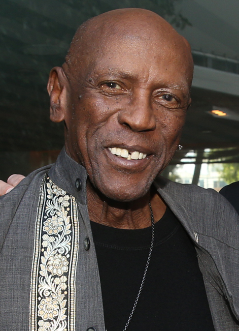 The voice of the Vortigaunts in HL2 and EP1, Louis Gossett Jr. has passed away. May you rest in peace. 
