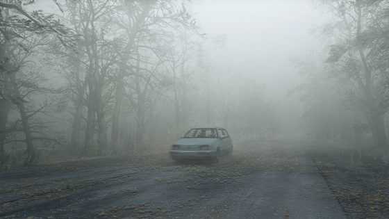 We don't go to Silent Hill.