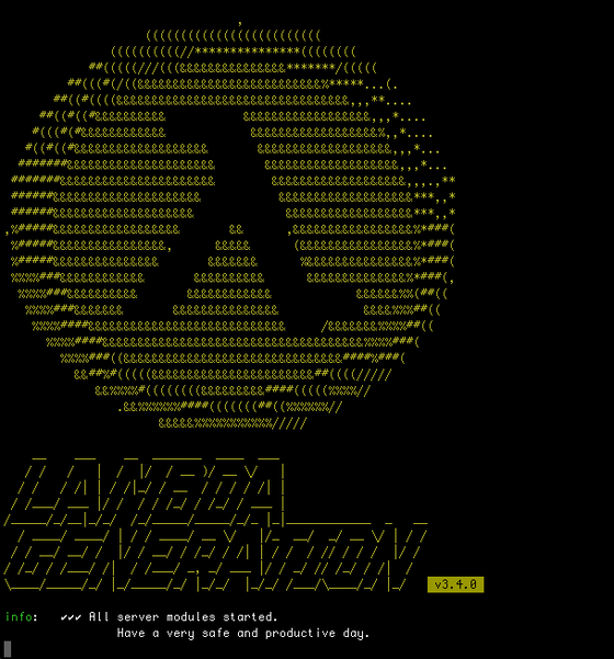 Behind the scenes view of LambdaGeneration server booting up
