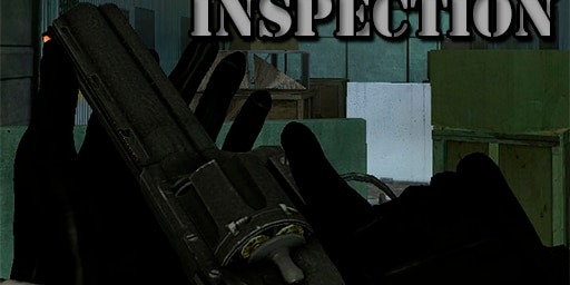 Steam Workshop::Weapon Inspection